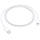 Apple USB-C - Lightning Câble 1 Mètre Blanc